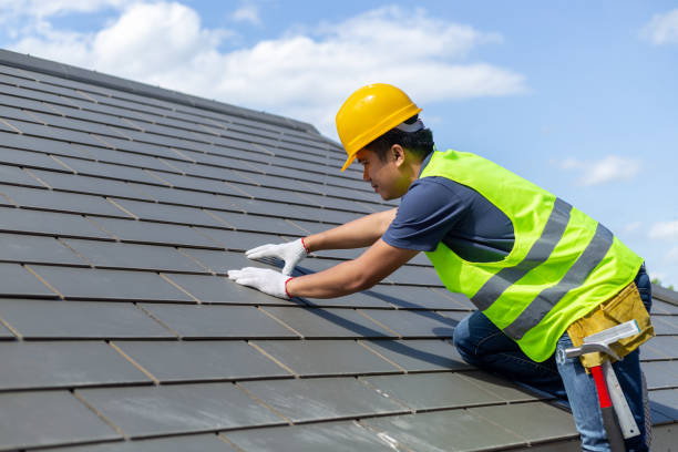Best Storm Damage Roof Repair  in Rogersville, TN