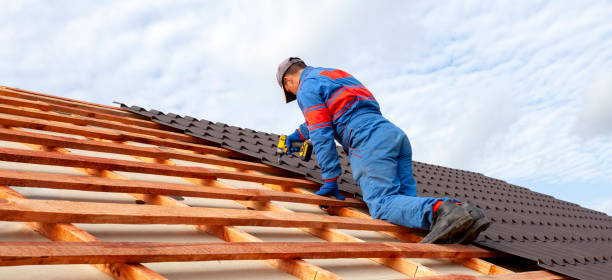 Best Metal Roofing Installation  in Rogersville, TN