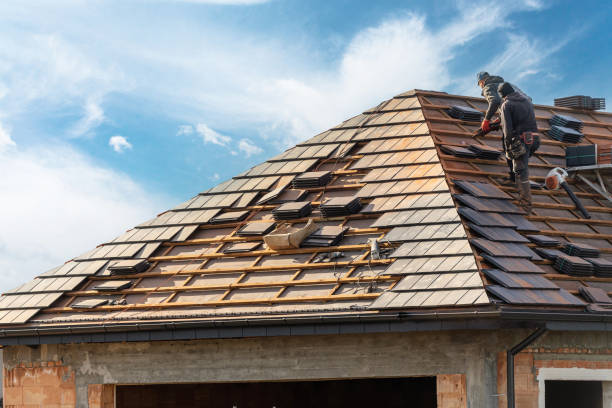 Best Commercial Roofing Services  in Rogersville, TN