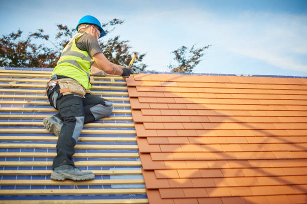 Best Roof Installation  in Rogersville, TN